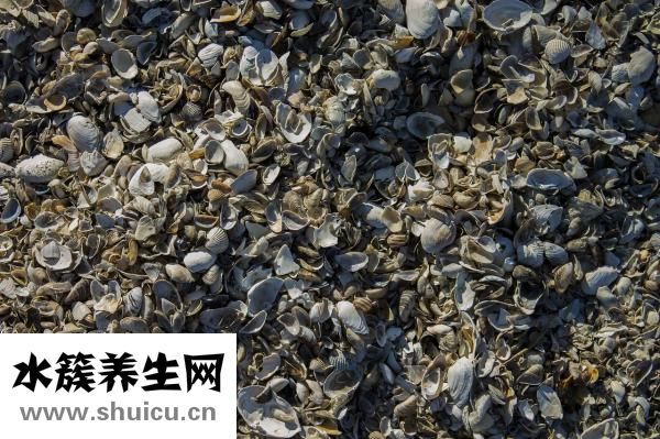 咸菜发软了怎么办