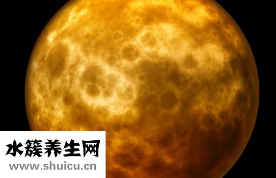 喜宝的阶段怎么分啊