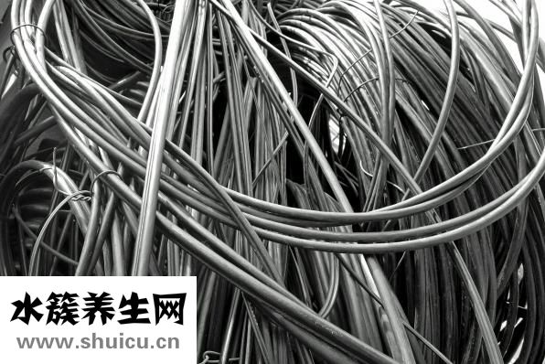 喜宝的阶段怎么分啊