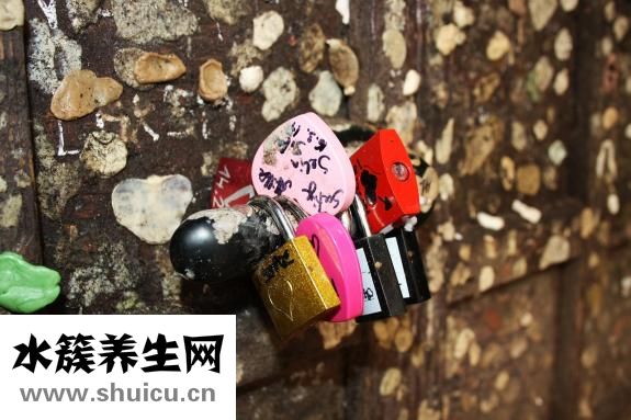 做鱼没有姜怎么办