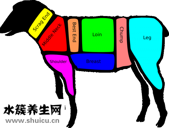 冲羊煞东怎么破