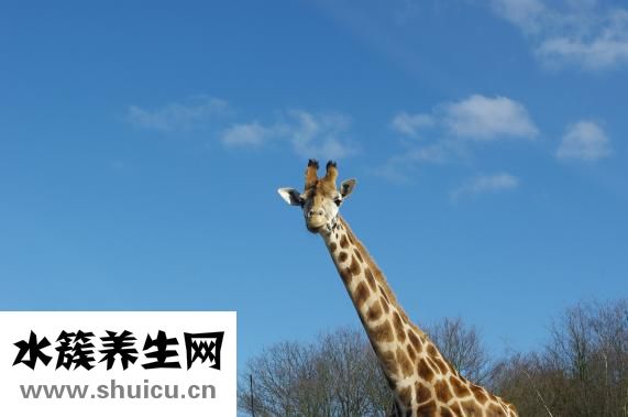 下巴不长胡子怎么办