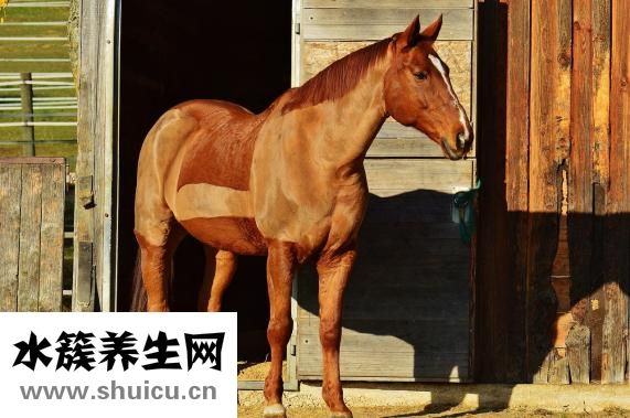 剃须刀怎么用啊
