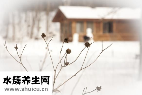 吵夜的宝宝怎么办