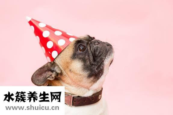 产后三天没奶怎么办