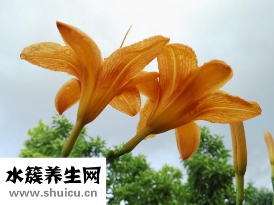 喝酒前应该怎么做