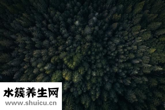 全聋怎么办