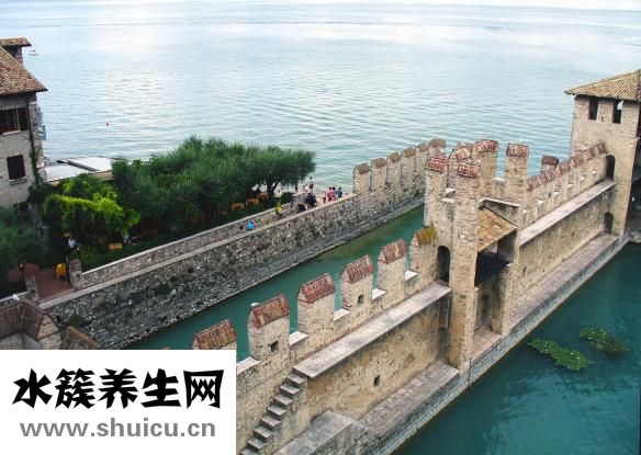 不想学车怎么请假