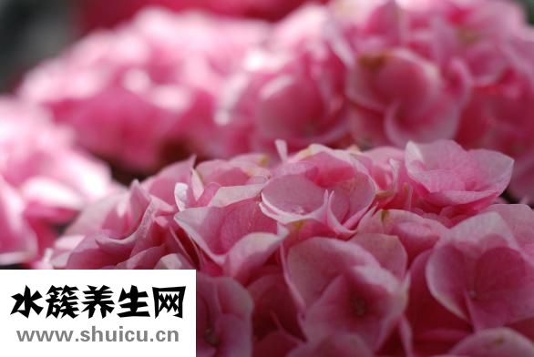 前男友要复合怎么办