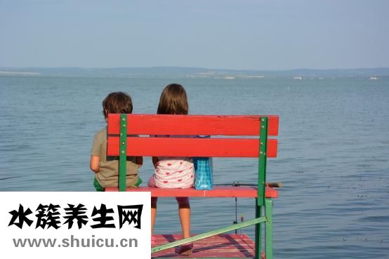 八字禄神怎么看