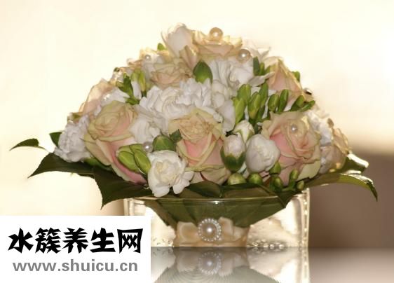 君子饮酒怎么怎么