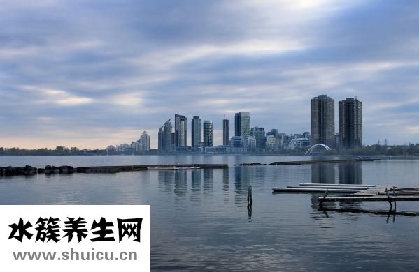 从澳洲怎么去南极