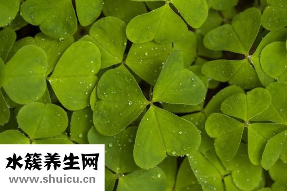 吴京怎么追谢楠