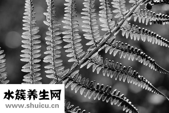 吊眼角怎么画眼线