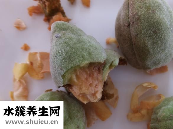 去长隆应该怎么玩
