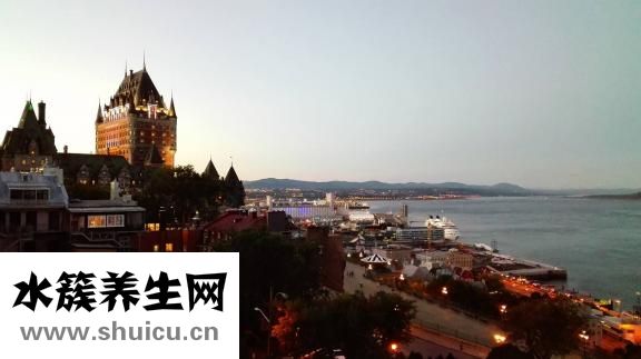 从澳洲怎么去南极