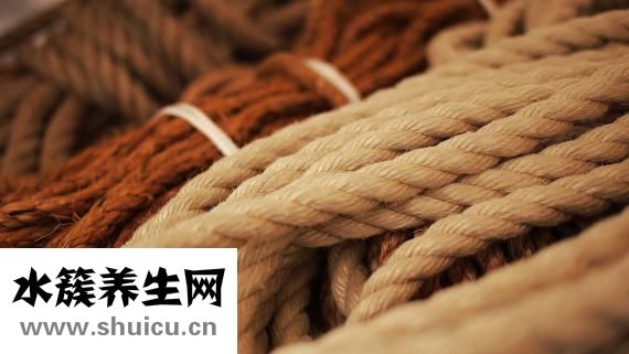 干的章鱼怎么做好吃