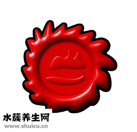 红曲粉怎么做