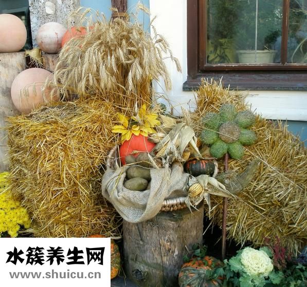熟食怎么做服务上门