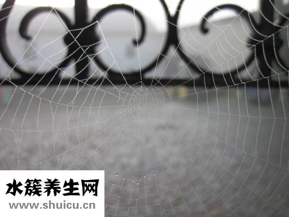 怎么去除闭合性粉刺