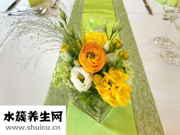 新鲜菱角怎么吃
