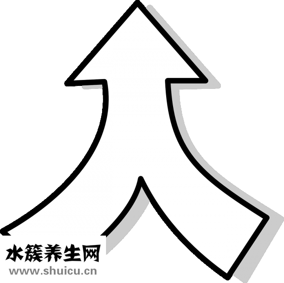 怎么分别痣相的左右