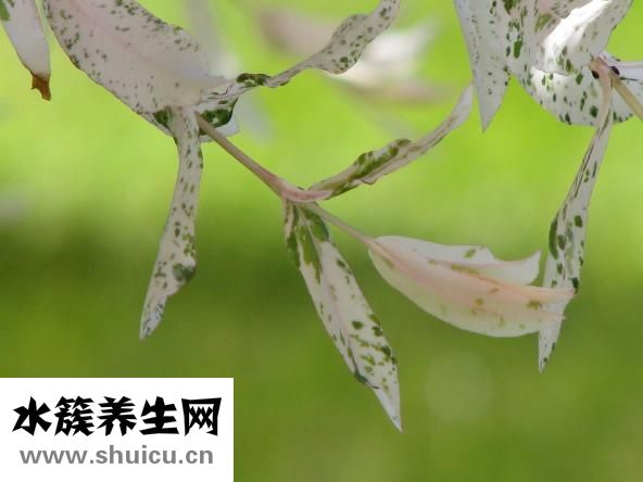 怎么利用风水旺人脉