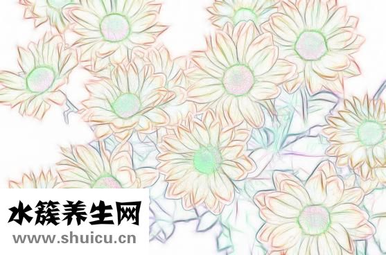 熟食怎么做服务上门