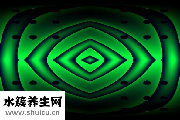 熟食怎么做服务上门