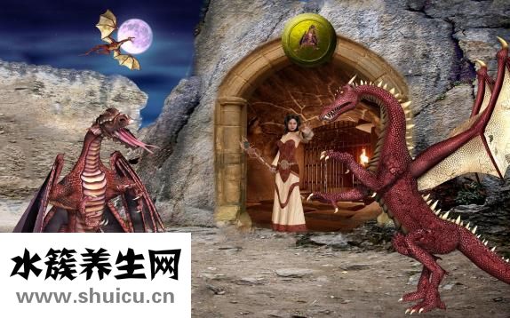 宝狮龙怎么了