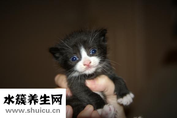 敷眼膜过敏怎么办