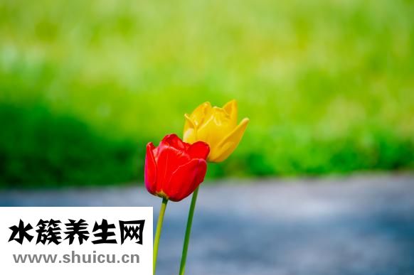 眉毛修坏了怎么补救