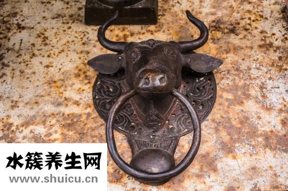 耗油牛柳怎么做好吃