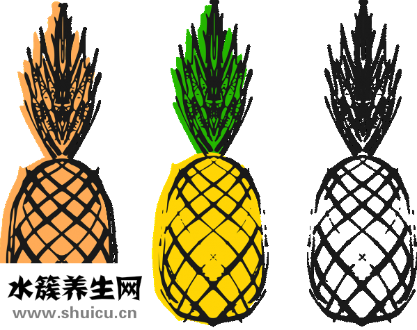 药丸塑料球怎么封蜡