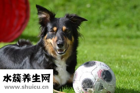 绣眼线发青怎么办
