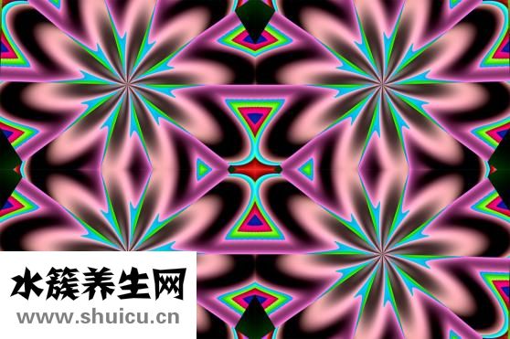 熟食怎么做服务上门