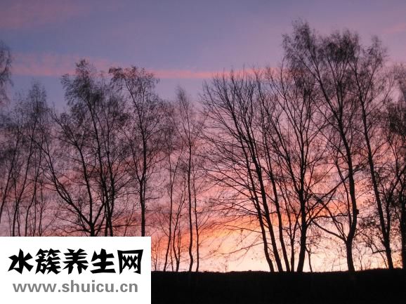 怎么煮苦杏核