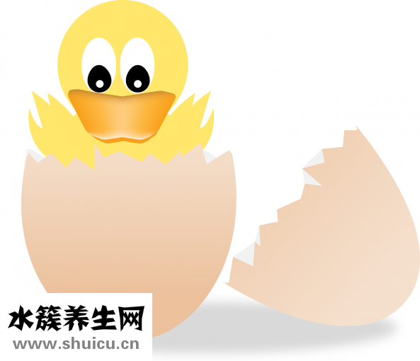 跳蛋怎么取出来