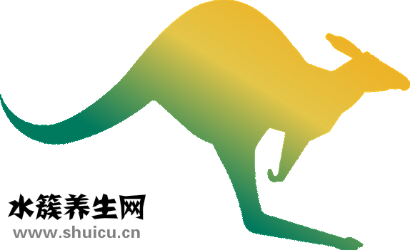 脉搏怎么摸
