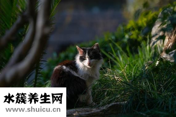 怎么才能到夜