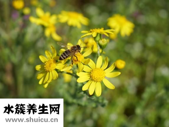 春天痒怎么办