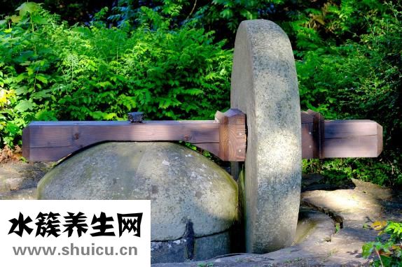肉松饼怎么做