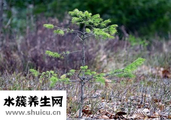 孩子内八字怎么纠正