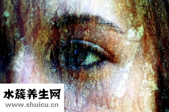 怎么辩别猫的好坏