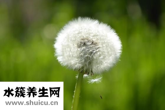 身体有寒怎么办