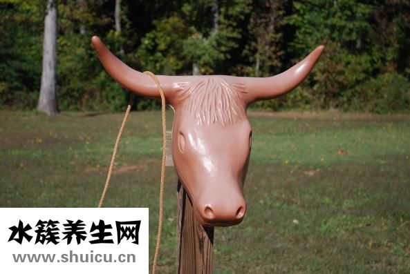 牛角梳摔坏了怎么修
