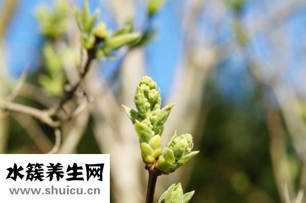 夏天流汗多怎么办