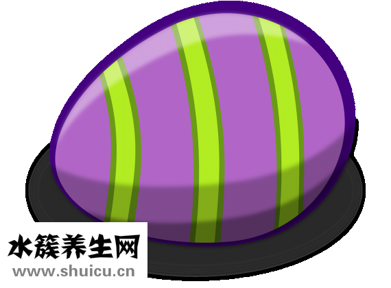 醋蛋怎么泡