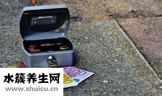 支付宝打的怎么用