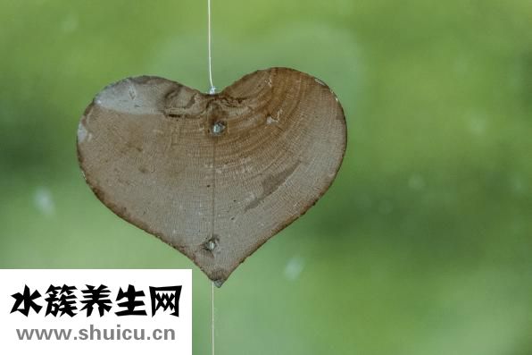 眼神呆滞怎么回事